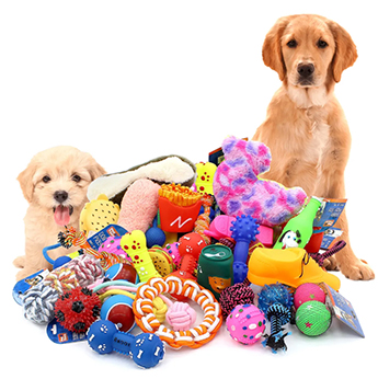 Dogs with Chew Toys 350px