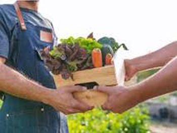 Man Handing Crate of Vegetables to Another Man